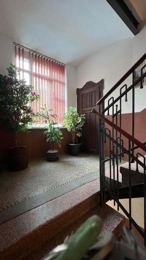 Pension Chevermeto Chemnitz Bagian luar foto